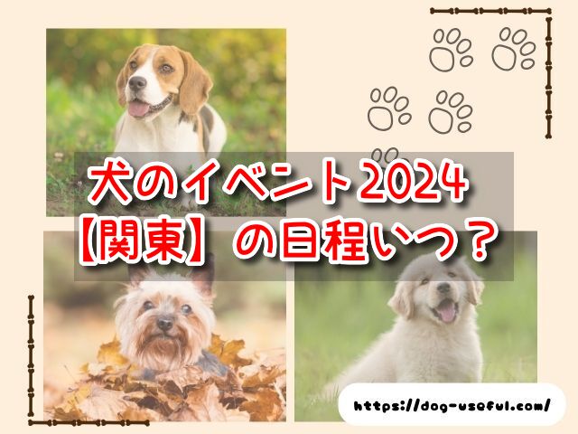 犬　イベント